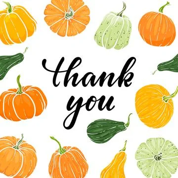 Frame of hand drawn pumpkin. Thank you Hand drawn calligraphy and brush pen.. Stock Illustration