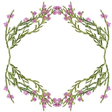 Frame with heather Stock Illustration