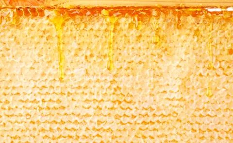 Frame with honeycombs, honey flows down. Honeycomb background Stock Photos