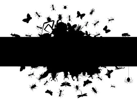 Frame of insects Stock Photos