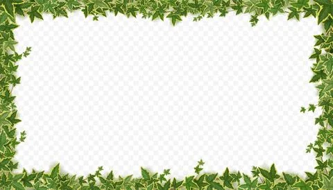 Frame of ivy vines with green leaves Stock Illustration