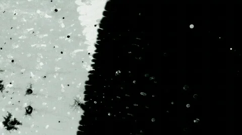 Frame Jump Textures 2 库存影片 128800