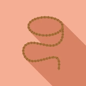 Frame lasso icon flat vector. Rope knot Stock Illustration
