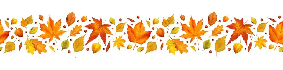 Frame leaf autumn. Background maple. Texture foliage design banner. Forest .. Stock Illustration
