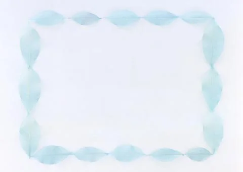 Frame of Leaf Stock Photos