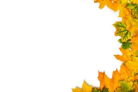 Frame of leaves Stock Photos