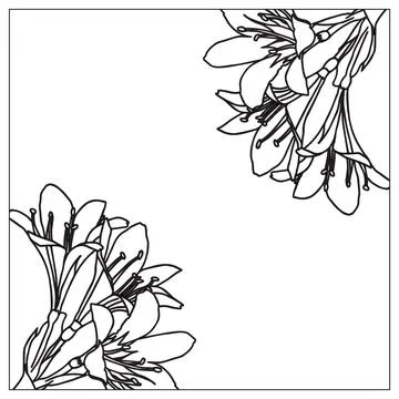 Frame with lilies in doodle style. Element for your design. Vector illustra.. Stock Illustration