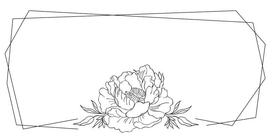 Frame with linear peony Vector isolated illustration on white background Doodle Illustrazione stock