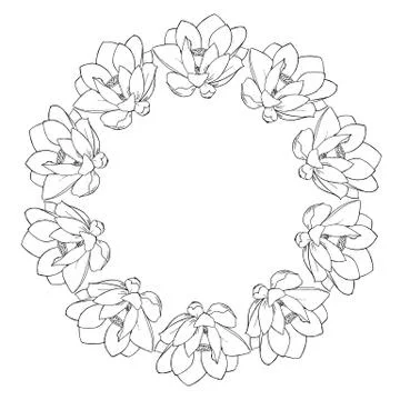 Frame lotuses Stock Illustration