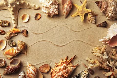Frame made with different sea shells on sand, flat lay. Space for text Foto stock
