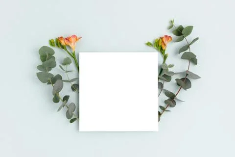 Frame made of eucalyptus branches and freesia flowers. Stock Photos