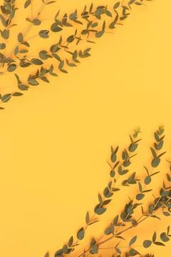 Frame made of eucalyptus branches on a yellow background. Stock Photos