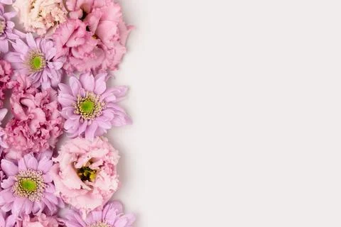 Frame made of eustoma and aster flower texture. Stock Photos