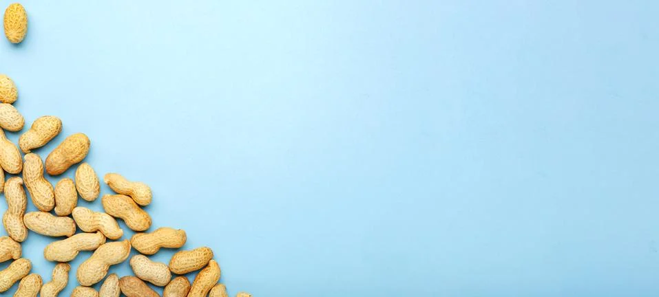 Frame made of nuts peanuts in shell with copy space on blue colored backgroun Stock Photos