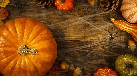 Frame made of pumpkins of different sizes, cones and acorns on a brown wooden Stock Photos