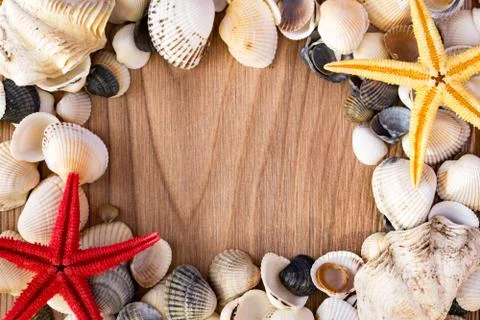 Frame made of seashells and red yellow sea stars on a brown wooden base Stock Photos