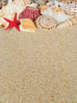 Frame made with seashells with copyspace Stock Photos