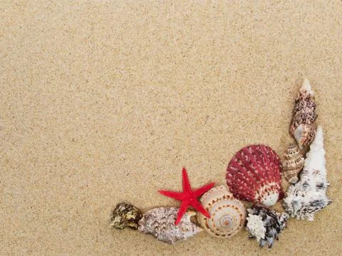 Frame made with seashells with copyspace Stock Photos