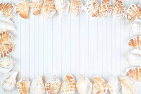 Frame made ??of shells on paper. Stock Photos