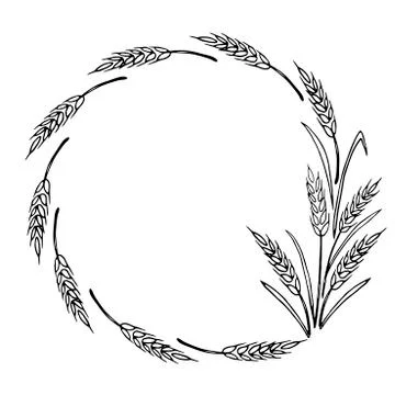 Frame made of wheat or rye ears. Vector autumn wreath hand drawn in Doodle st Stock-Illustration