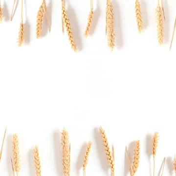 Frame made of wheat spikelets. Stock Photos