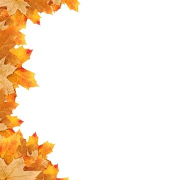 Frame maple leaves Stock Illustration