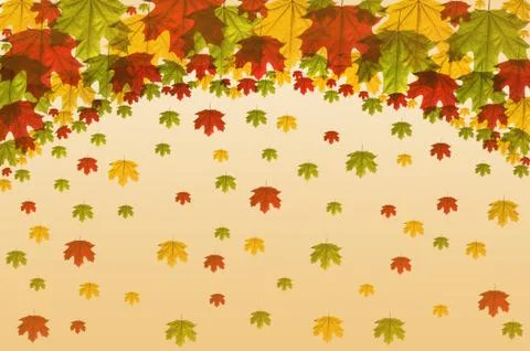 Frame maple leaves Stock Illustration