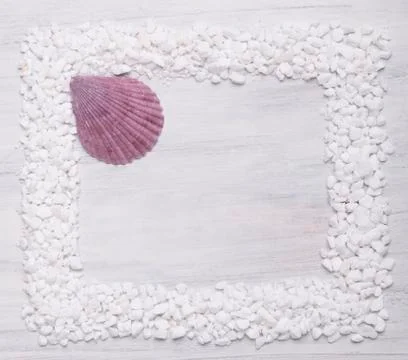 The frame of marble and shell decor. Stock Photos