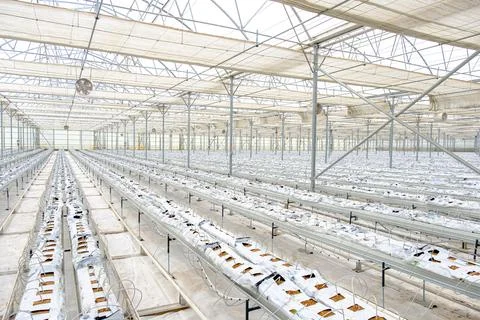 The frame of a modern empty greenhouse. Beautiful background Stock Photos