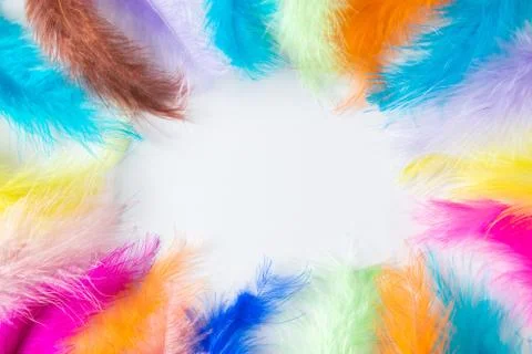 Frame of multi-colored light feathers on a white background. Stock Photos