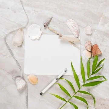 Frame from natural elements Stockfoto's