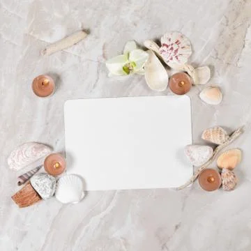 Frame from natural elements 写真素材