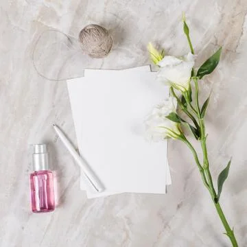 Frame from natural elements Stockfoto's