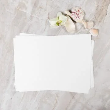 Frame from natural elements 写真素材