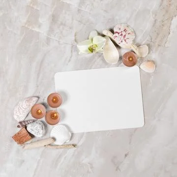 Frame from natural elements 写真素材