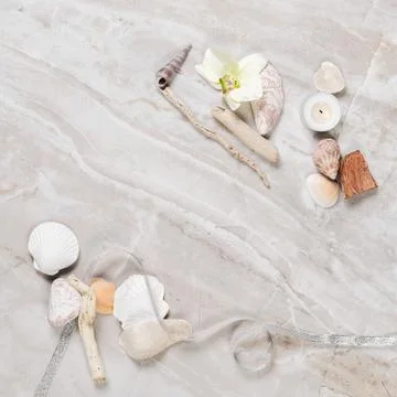 Frame from natural elements Foto stock