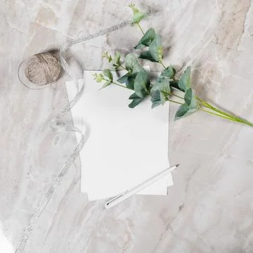 Frame from natural elements Foto stock