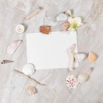 Frame from natural elements Stockfoto's