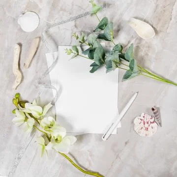 Frame from natural elements 写真素材