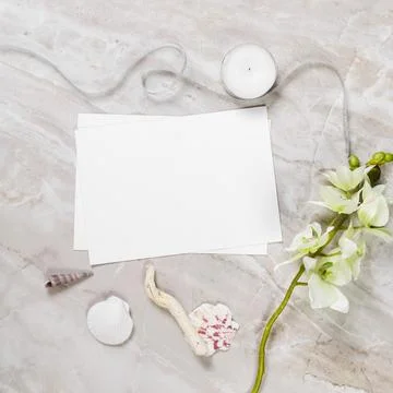 Frame from natural elements 스톡 사진