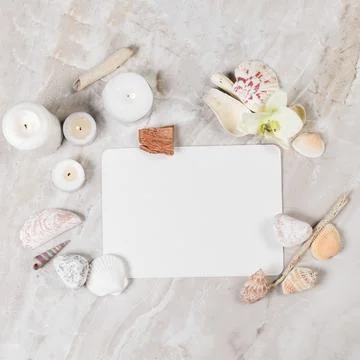 Frame from natural elements Stockfoto's