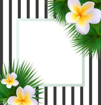 Frame with Palm Leaf Vector Background Vector llustration イラスト素材