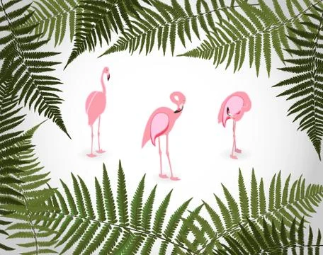 Frame from Palm Leaf with White Background. Vector Illustration. Stock Illustration