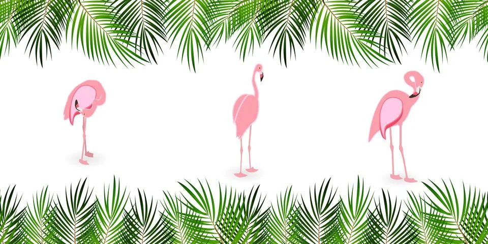 Frame from Palm Leaf with White Background. Vector Illustration. Stock Illustration