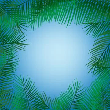 Frame of palm leaves Stock Illustration