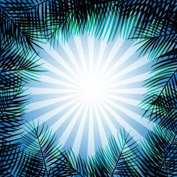 Frame of palm leaves Stock Illustration