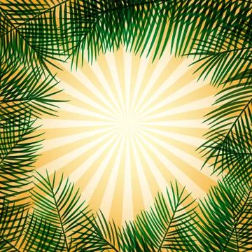 Frame of palm leaves Stock Illustration