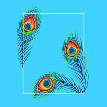 Frame with peacock feathers. Stock Illustration