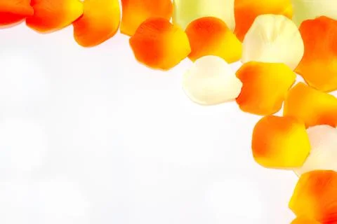Frame of petals Stock Photos