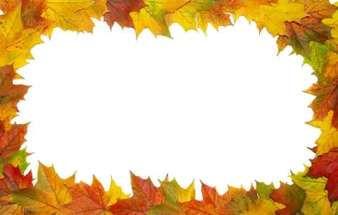 Frame Stock Photos